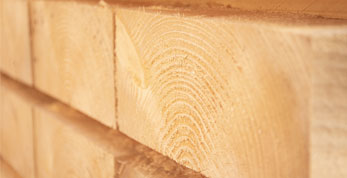Die Vorteile von Holz als Werkstoff