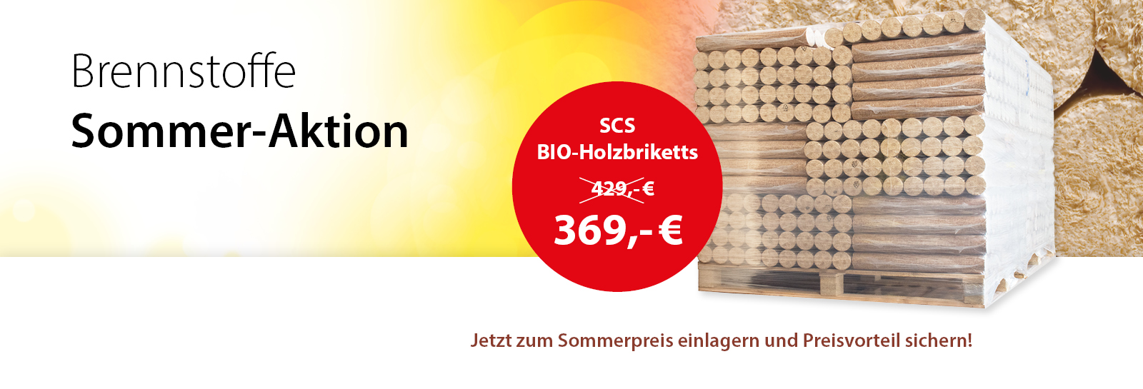 SCS Bio Holzbriketts Sommer-Aktion